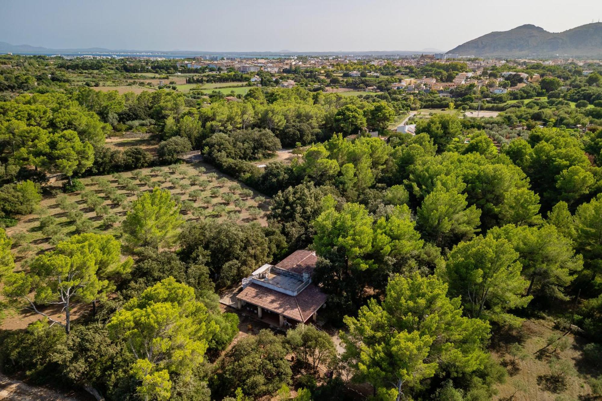 Casa Simo By Mallorca Selection Ferienhaus Alcúdia